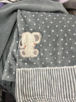 Sabana coralina gris con elefante