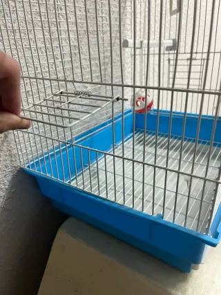 Jaula para pájaros completa