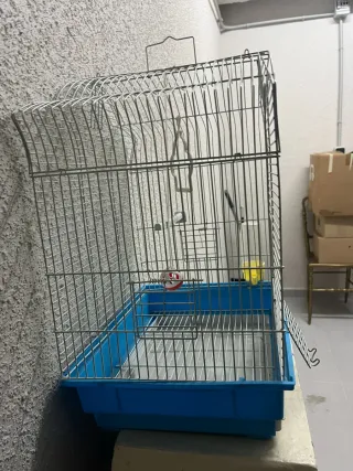 Jaula para pájaros completa