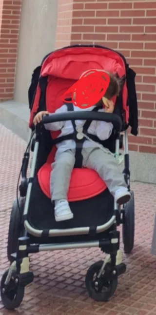 Carro Bugaboo Camaleón 3