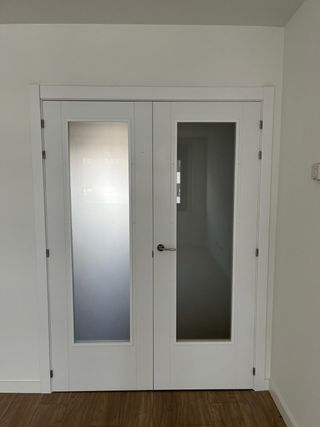 Puerta doble de salón blanca con cristal