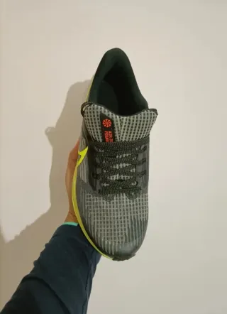 T39 Nike Air Zoom Pegasus 39 NN GS