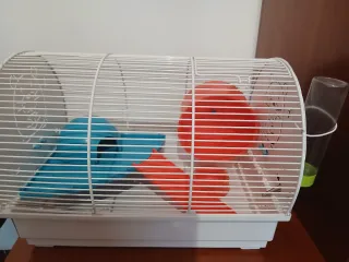 Jaula para hámster con accesorios