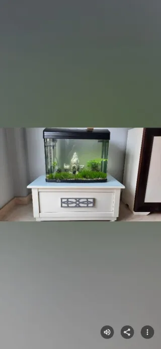 Acuario con decorado de castillo