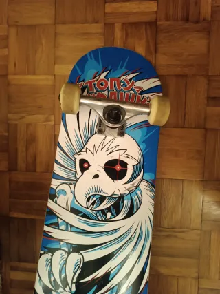 Skate Birdhouse. Medida 7'75"