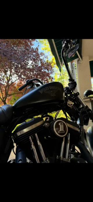 Harley Davidson Sportster 883 (2016)