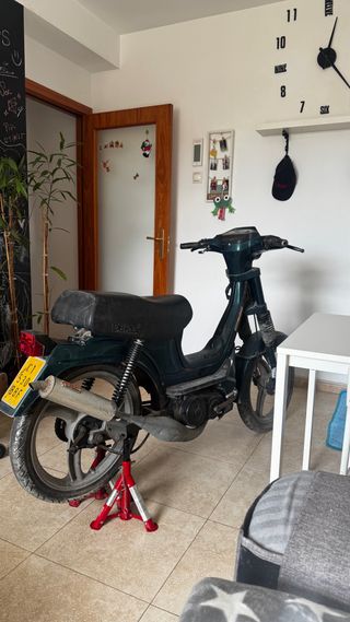 Derbi Variant Start V World Champion