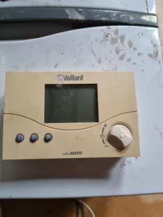 Caldera Vaillant Gas Natural
