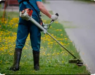 Servicios de jardinería