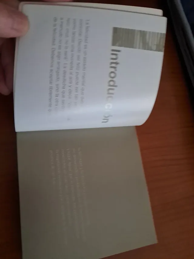 Mil vías hacia la felicidad (Spanish Edition)