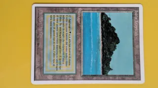 Tropical island- Magic The Gathering Carta