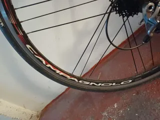 Bicicleta Carretera Carbono Focus Team SL