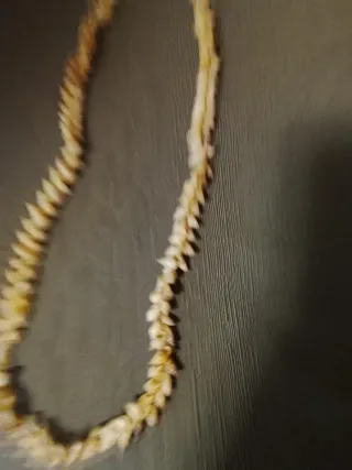 Collana conchiglie beige e bianche