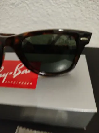 Gafas de Sol Ray-Ban Negras, marrron