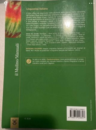 Linguistica italiana (Italian Edition)