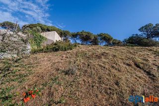 Solar en venta en Dosrius