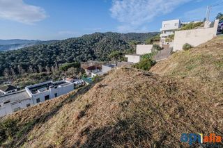 Solar en venta en Dosrius