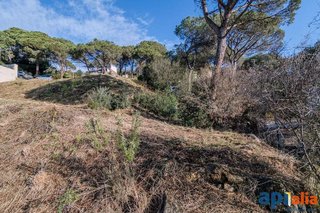 Solar en venta en Dosrius