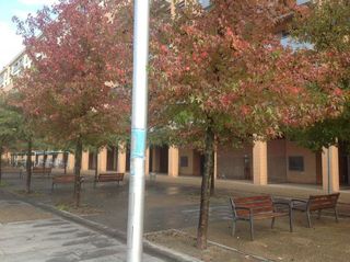 Local comercial en alquiler en Rochapea en Pamplona