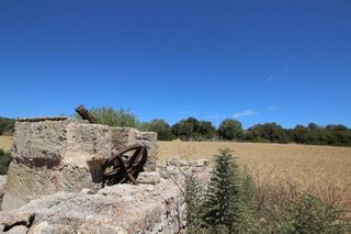 Terreno en venta en Porreres