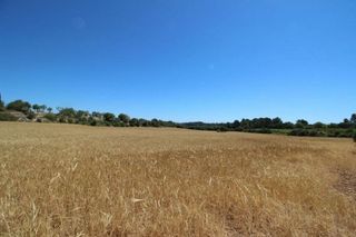 Terreno en venta en Porreres