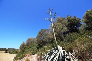 Terreno en venta en Porreres