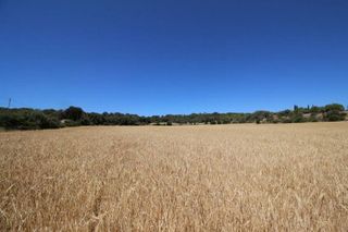 Terreno en venta en Porreres