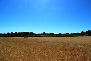 Terreno en venta en Porreres