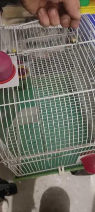 Jaula para hámster
