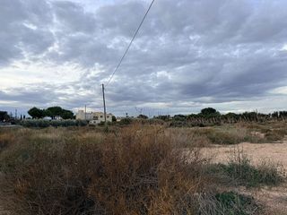 Terreno en venta en Perleta - Maitino en Elche