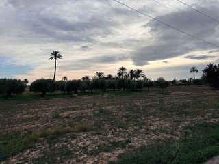 Terreno en venta en Perleta - Maitino en Elche