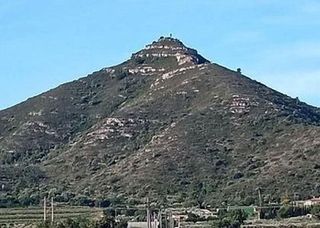 Local comercial en venta en Amposta