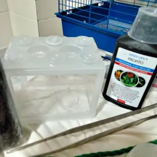 Accesorios acuario/pecera