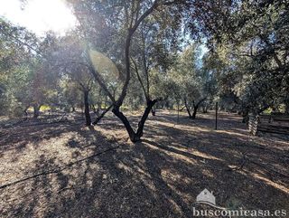 Casa rural en venta en Linares