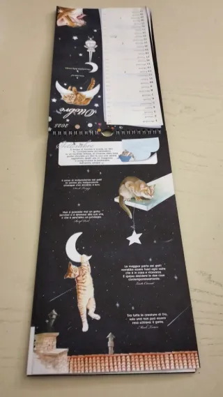 Calendario 2025 Gatto e Luna