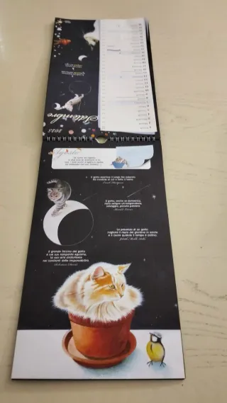 Calendario 2025 Gatto e Luna