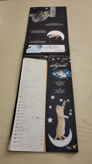 Calendario 2025 Gatto e Luna