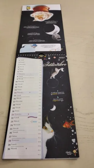 Calendario 2025 Gatto e Luna
