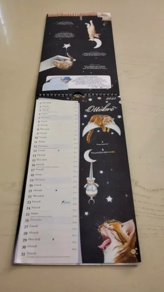 Calendario 2025 Gatto e Luna