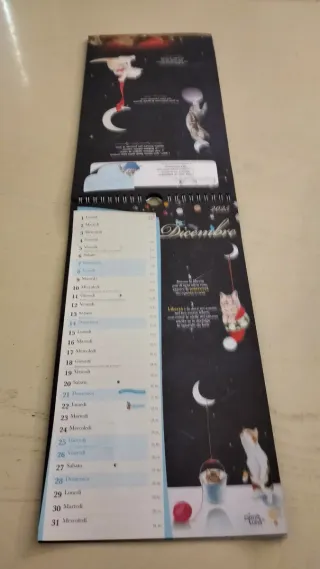Calendario 2025 Gatto e Luna