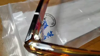 Gafas de sol estilo tortuga