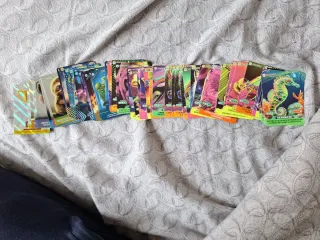 56. Carte Cucciolotti 2024