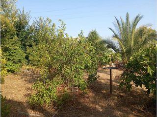 Chalet en venta en Almendralejo