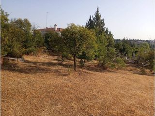 Chalet en venta en Almendralejo