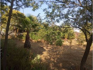 Chalet en venta en Almendralejo