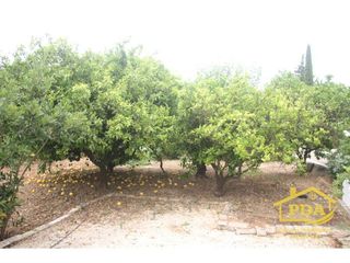 Chalet en venta en Palma del Río