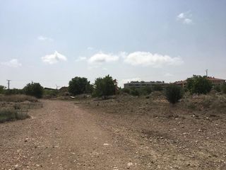 Terreno en venta en Muela (La)