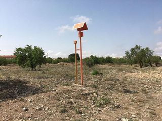 Terreno en venta en Muela (La)