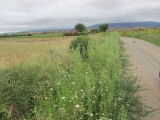 Terreno en venta en Villamediana de Iregua