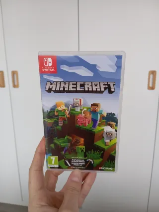 Minecraft Nintendo Switch